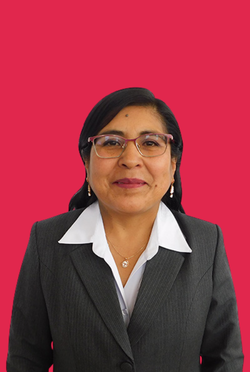 Ing. Alejandrina Flores Arizaca