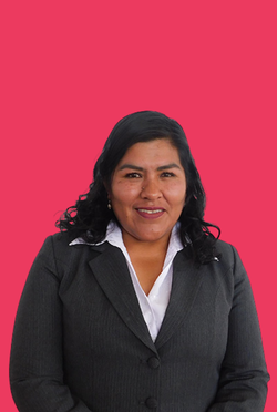 Ing. Brisdenia Condori Portillo