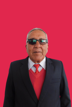 Ing. Emilo Mamani Machaca