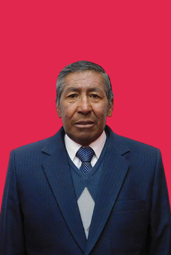 Lic. Flavio Cornejo Gallegos