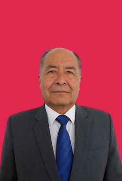 Ing. Gerardo Chambilla Chaparro