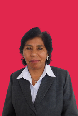 Ing. Sigmarina Huanca Ñaupa