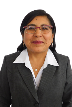 Ing. Alejandrina Flores Arizaca