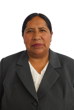 Ing. Luz Ramos Zuñiga