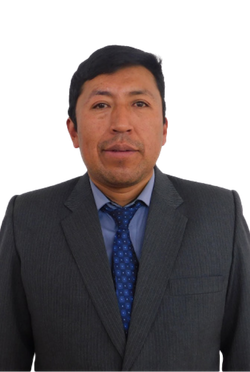 Ing. Francisco Salva Quispe