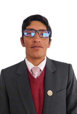 Ing. Clemente Vilcapaza Larico