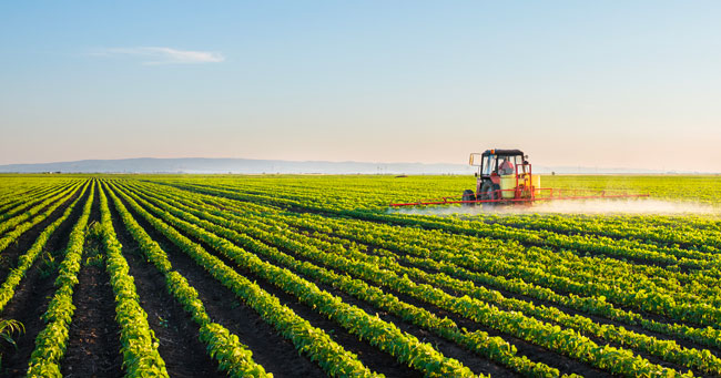 Producción Agropecuaria