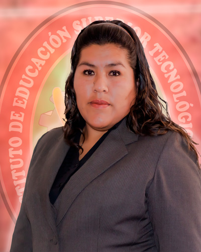Imagen de Ing. Brisdenia Maribel CONDORI PORTILLO