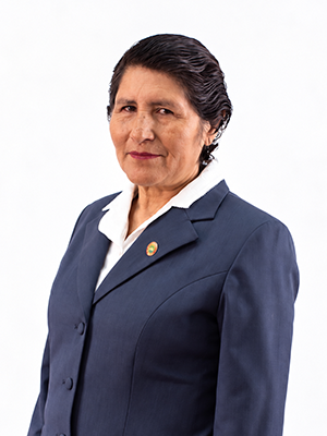 Filomena Atamari Loayza
