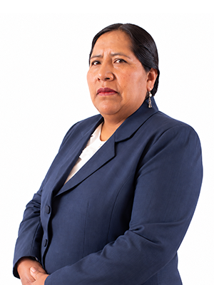 Luz Mercedes Ramos Zuñiga